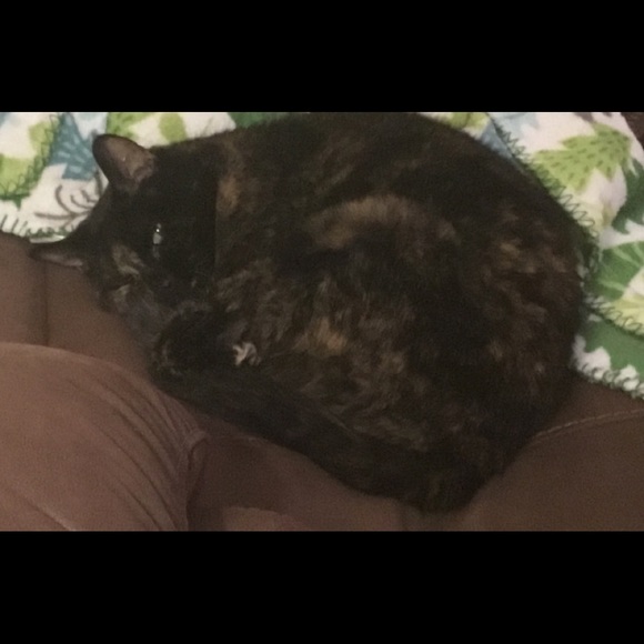 Meet your Posher, Dana - Picture 1 of 11